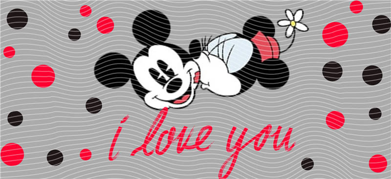 16oz Disney-D 733